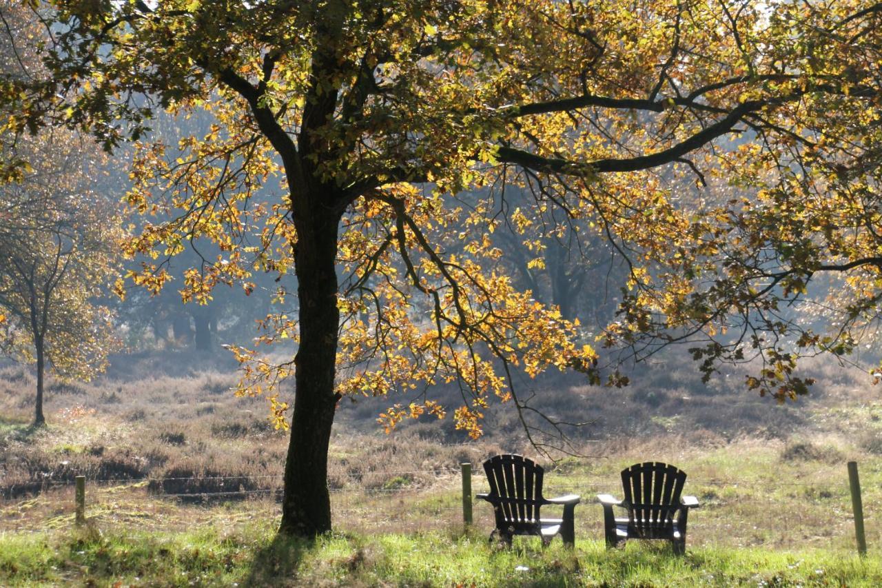 Inn The Woods - Private Stay Overberg Exteriör bild